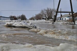 Почва для размышления