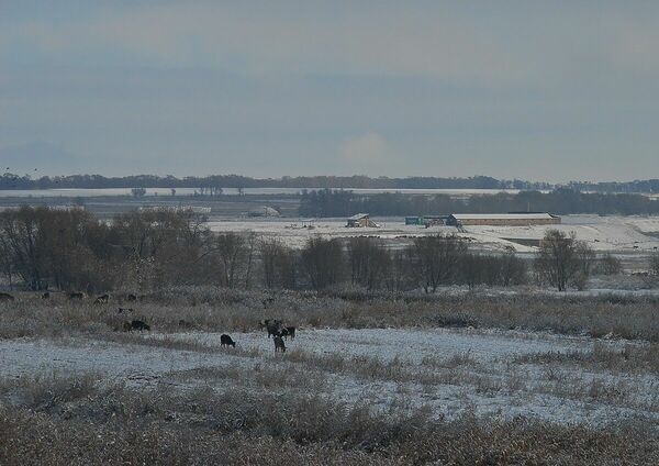 Распил по-научному