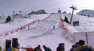 Нашли место под солнцем