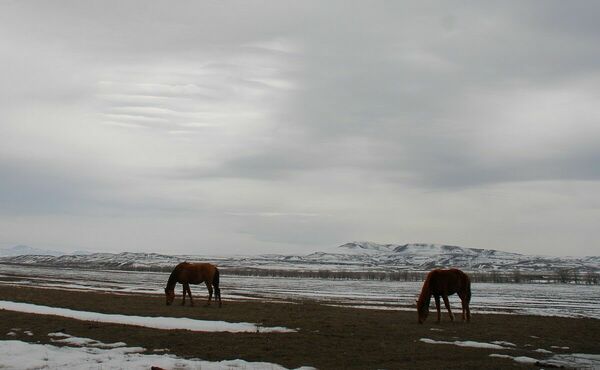Уровень беспокойства