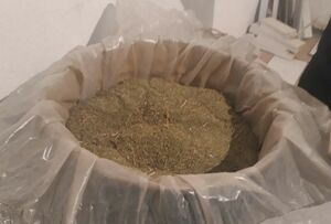 Трава-отрава