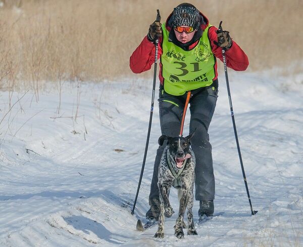 В намордниках - только хозяева