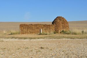 Сами с усами!