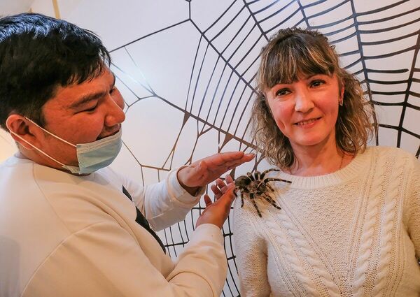 Поучайте лучше  ваших паучат