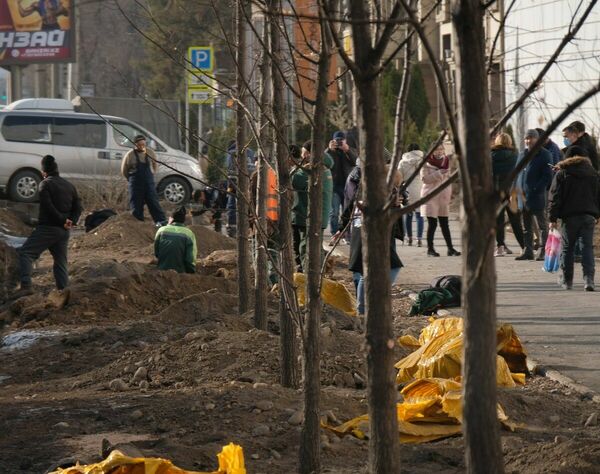 И на домах растут деревья