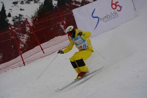 Лыжная акробатика - не наш конёк