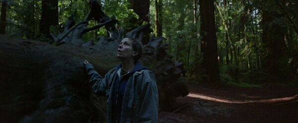 А кто за кадром?