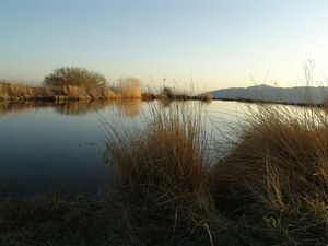 Станет сухо и комфортно