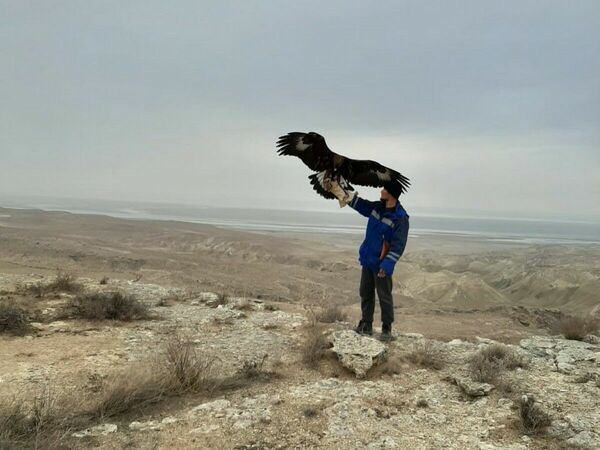 Расправили крылья