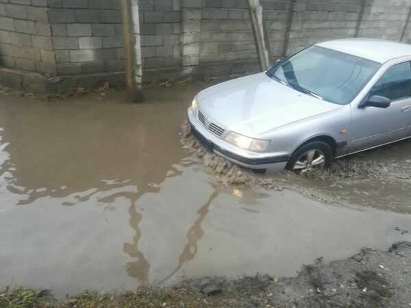 И вплавь, и вброд