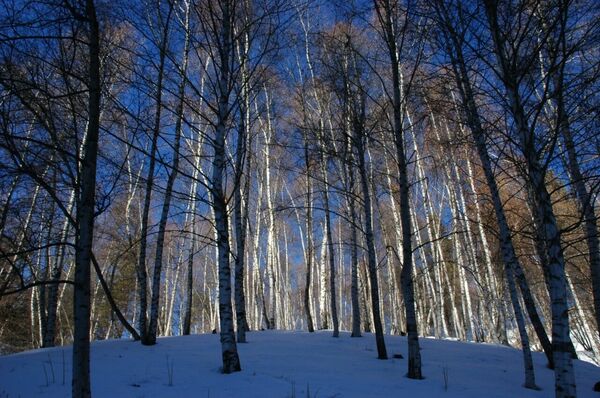 Шанс для провинции - стремительный рывок