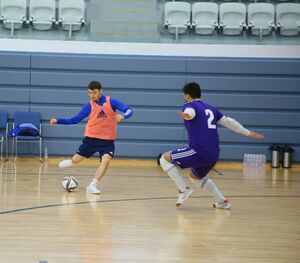 Мадьяры едут  за реваншем