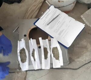 Тотальный контроль по всей области