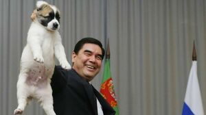 Вырастил алабая - получи премию!