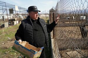 Дикобраз вернётся в природу