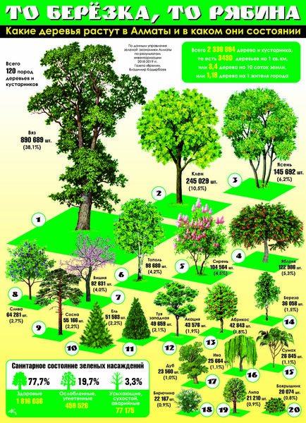 То берёзка, то рябина