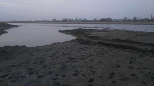 Спасти Шалкар