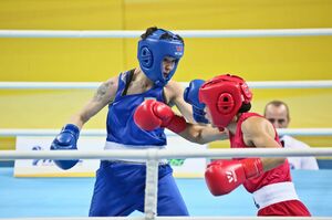 На ринге надо драться, а не скандалить