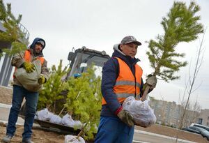 Поливной досуг: бери больше - иди дальше