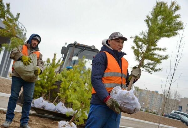 Поливной досуг: бери больше - иди дальше