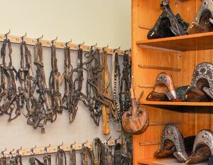 А мы лошадь приручили