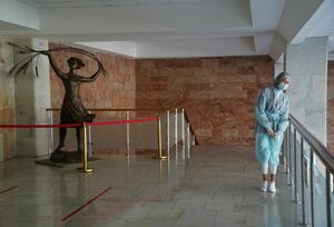 Культура прививки  или прививка культурой?