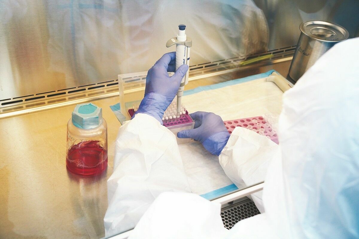 QazVac надежды нашей