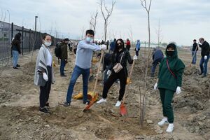 Голливуд отдыхает