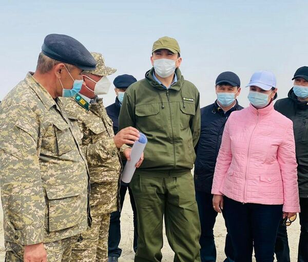 Саксаул остановит пустыню