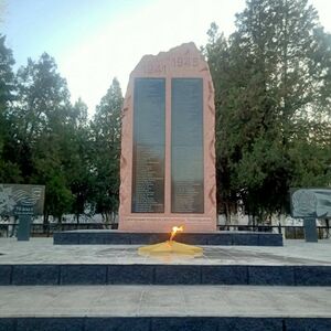 Одна на всех