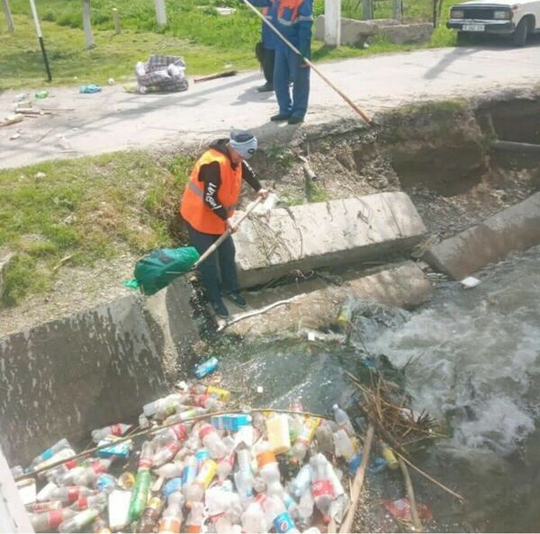 Хоть слезами поливай!