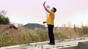 Алло, дайте связь!