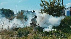 Нет житья от кровососов