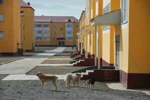 Шаг навстречу