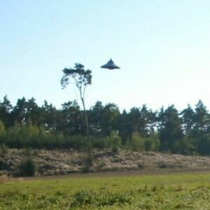 НЛО объединило политиков