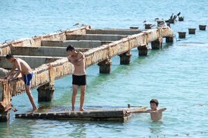 Предупреждения бесполезны?