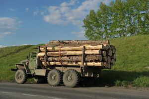 Кто в лес, кто по дрова