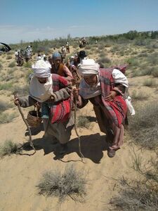 Эхо страшных времён