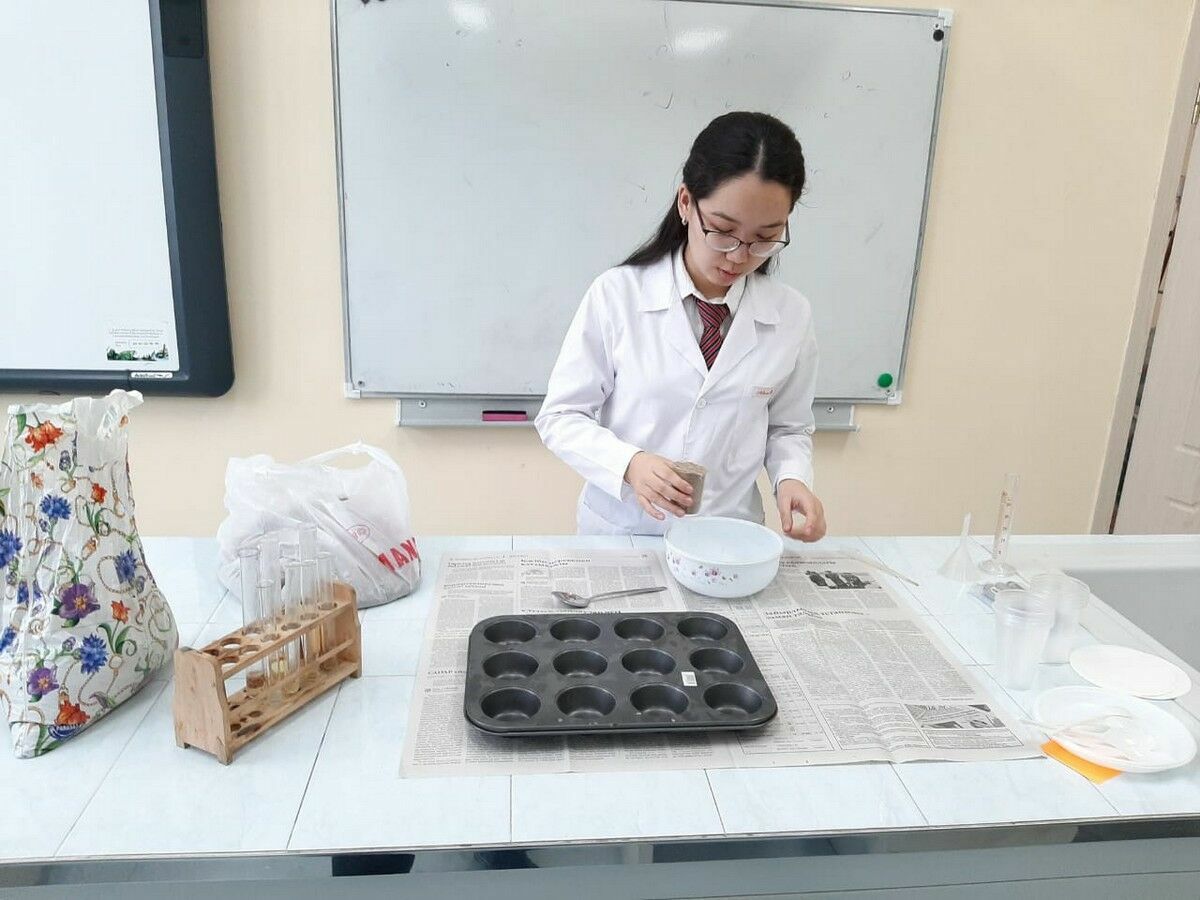 Асфальт на картошке