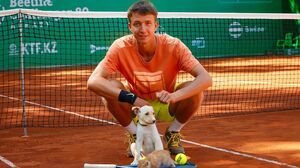 Пожалели, накормили