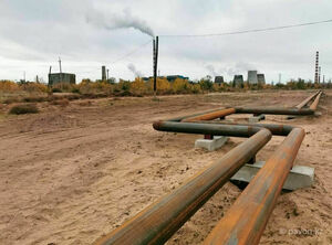 Их в дверь, они - в окно