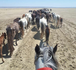 Имя их неизвестно