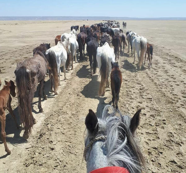 Имя их неизвестно