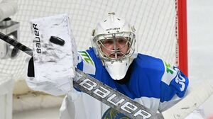 Бояркин оказался в столице