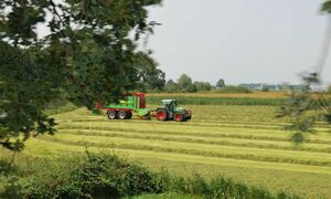 А там мы посадим помидоры…