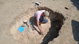 Тайна древнего кургана