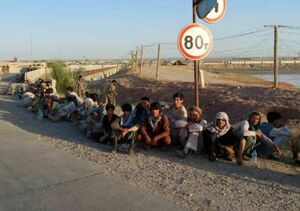 Возвращены на родину