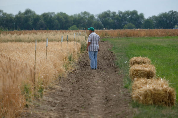Земля и люди