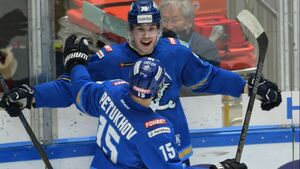 План - словно кот в мешке