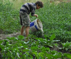 На карманные расходы